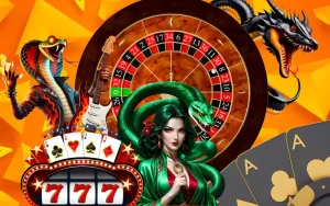 cricket data 4 sports​ at Indibet featured image